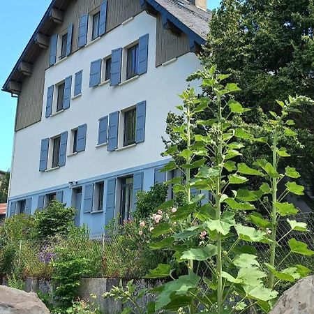Chalet Du Doumet - Appart Luz Centre - Parking Et Garage Individuel Ferme - Draps Et Serviettes Inclus Luz-Saint-Sauveur Bagian luar foto